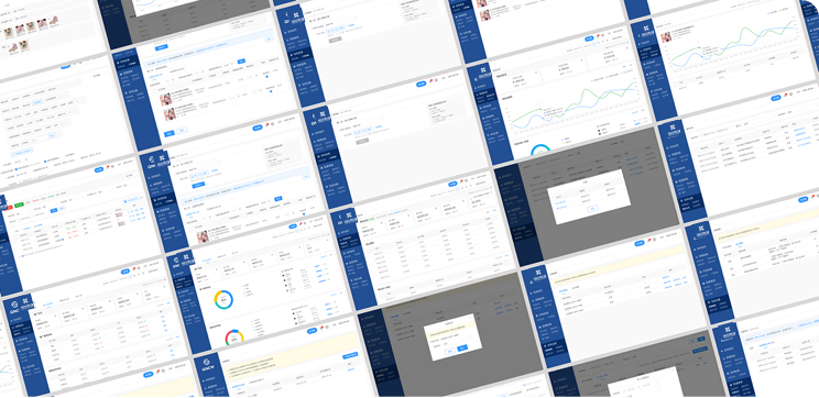 鑫苑（中國）置業(yè)全面財務(wù)預(yù)算系統(tǒng)